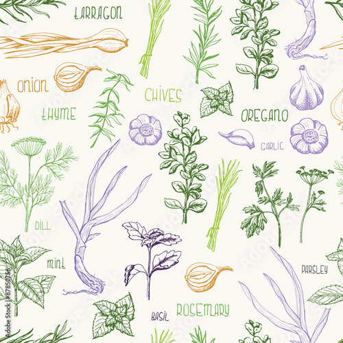 Seamless pattern with herbs and spices