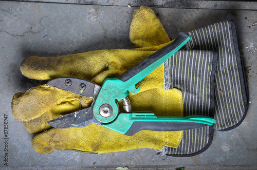 yellow gardening gloves and green secateurs