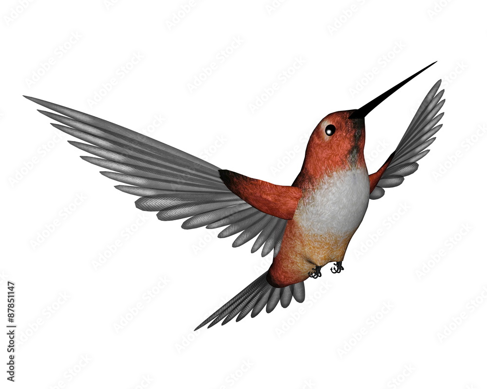 Obraz premium Allen hummingbird - 3D render