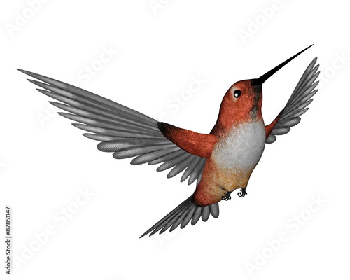 Allen hummingbird - 3D render