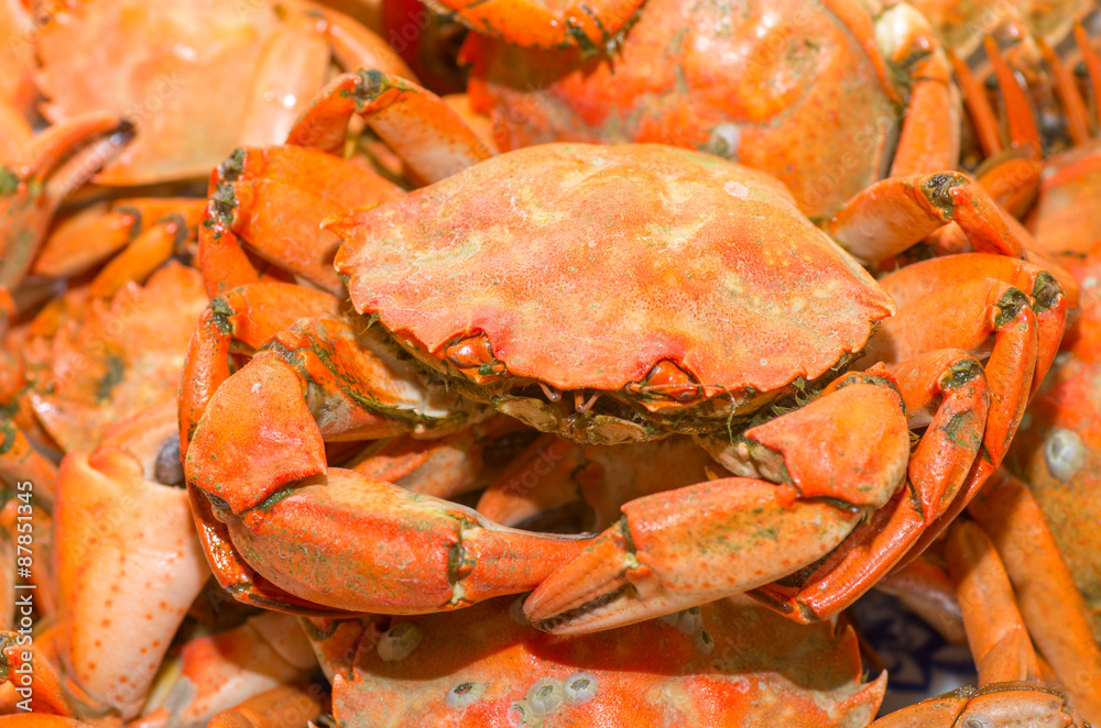 Plate of red boiled crabs Mediterranean. Crabs on a plate entire Plate of red boiled crabs Mediterranean. Crabs on a plate entire