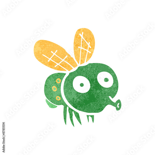 retro cartoon fly