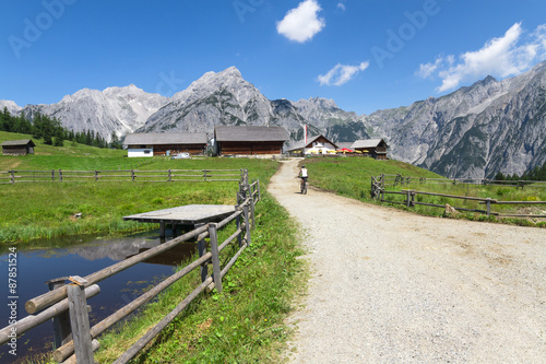 Path through rural mountain landscape in summer, near Walderalm, Austria, Tirol