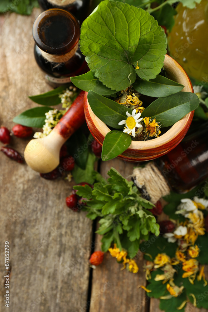 Herbs, berries and flowers with mortar, on wooden table background Herbs, berries and flowers with mortar, on wooden table background