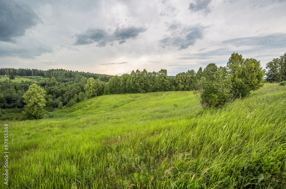 Summer field under gloomy sky