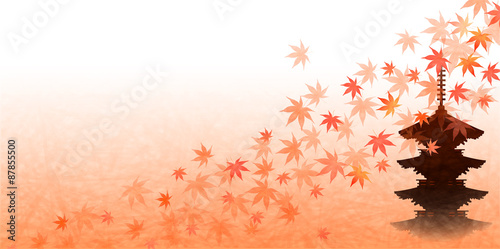 もみじ　紅葉　京都