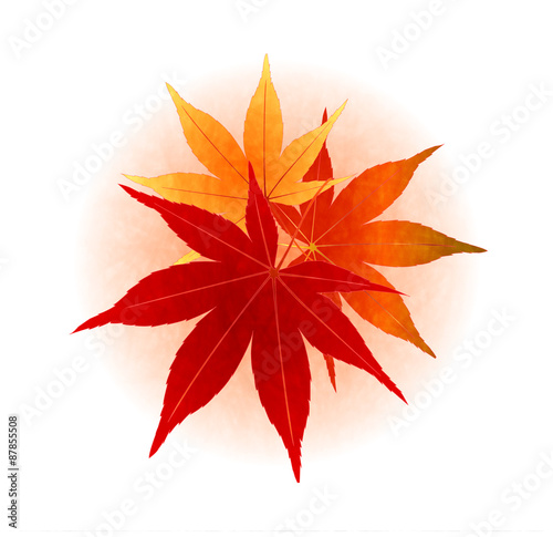 もみじ 紅葉 円