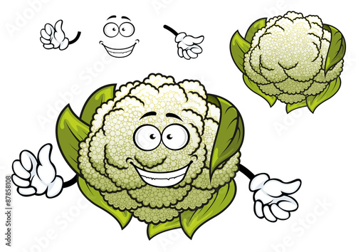 Fresh isolated cartoon cauliflower vegetable