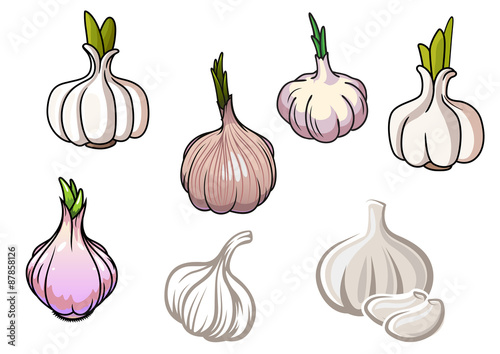 Set of isolated garlic vegetables