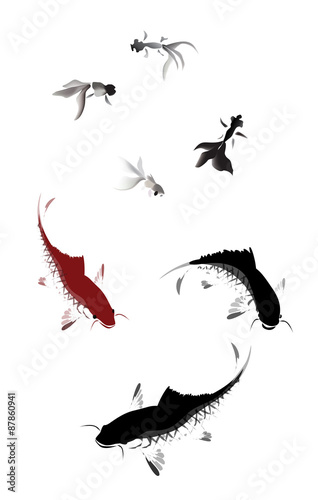 vector carp and gold fish swimming