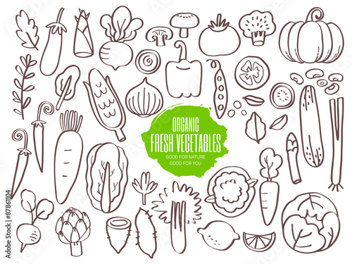 Fototapeta Set of vegetables doodles