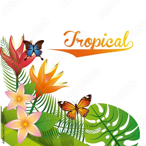 tropical nature