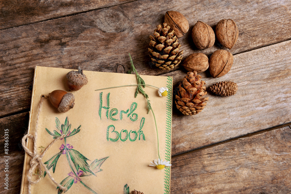 Obraz premium Old book with cones and nuts on table close up