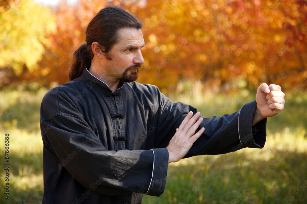 Man practicing Tai Chi Man practicing Tai Chi