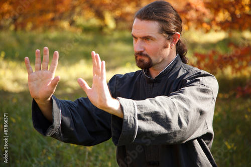 Adult man practicing Tai Chi