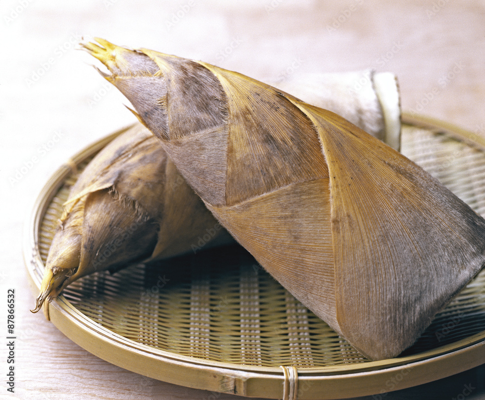 Fototapeta premium たけのこ