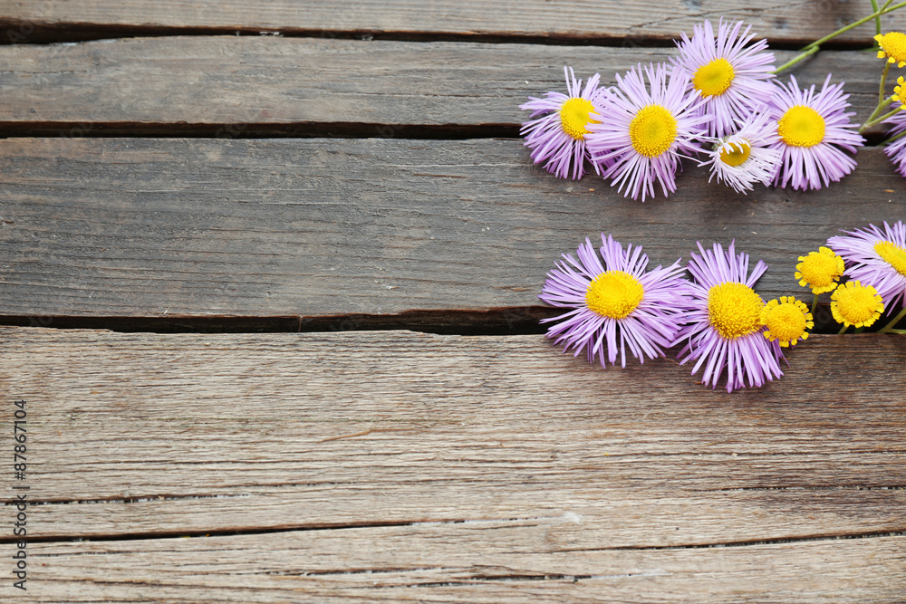 Obraz premium Beautiful small wild flowers on wooden background