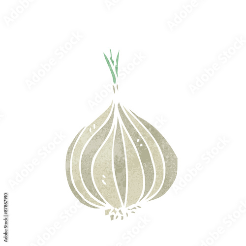 cartoon onion
