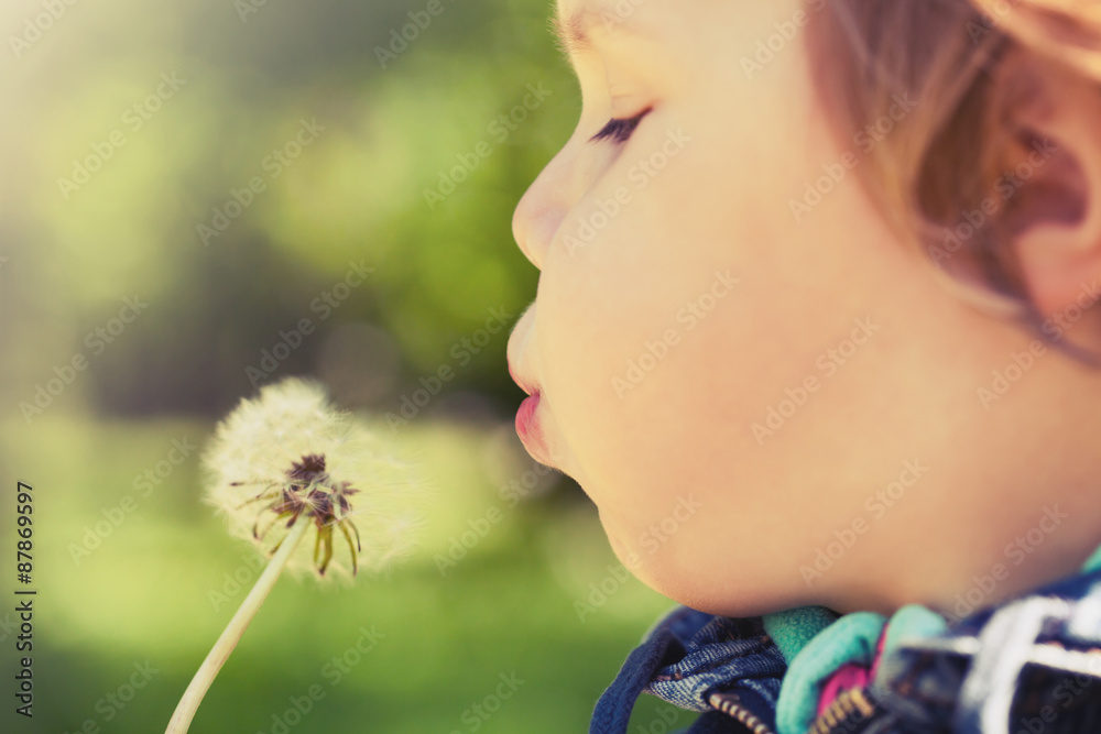 Caucasian blond baby girl blows on a dandelion flower Caucasian blond baby girl blows on a dandelion flower