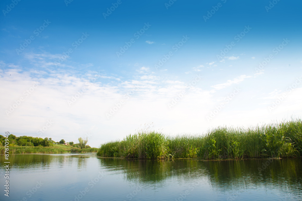 Obraz premium River landscape in summer sunny day