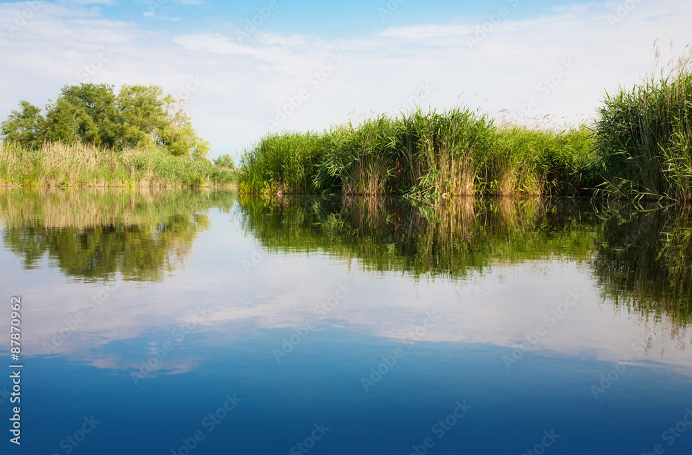 River landscape in summer sunny day