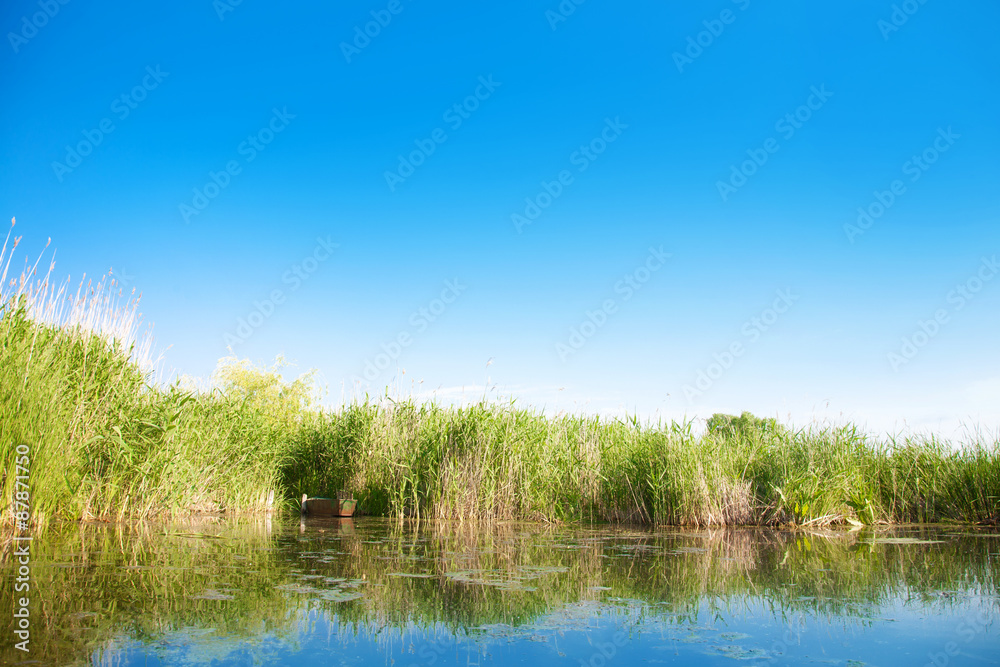 River landscape in summer sunny day