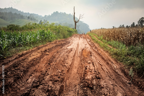 Off-road track in country