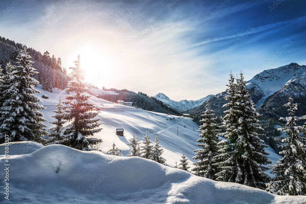 Winter in the Alps - obrazy, fototapety, plakaty 