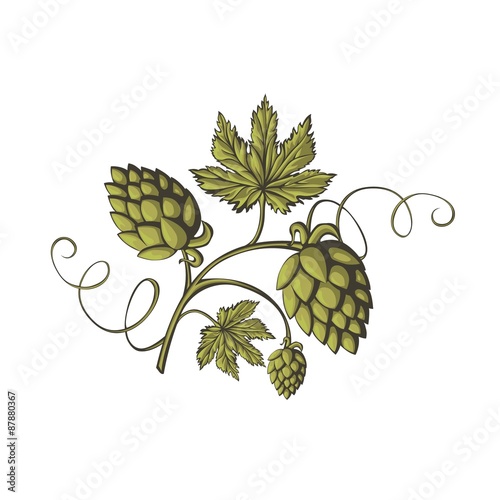 Green hops small ornament.