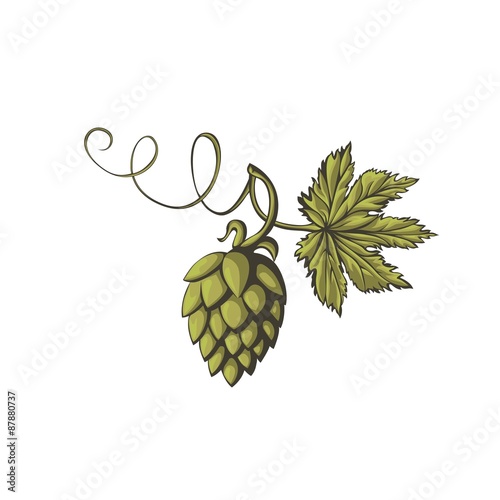 Stylized flower of beer hops.