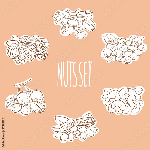 nuts 1