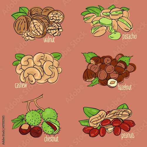 nuts 1