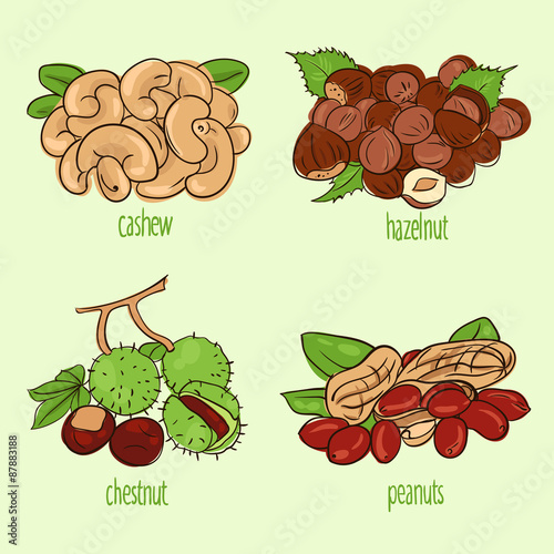 nuts 1