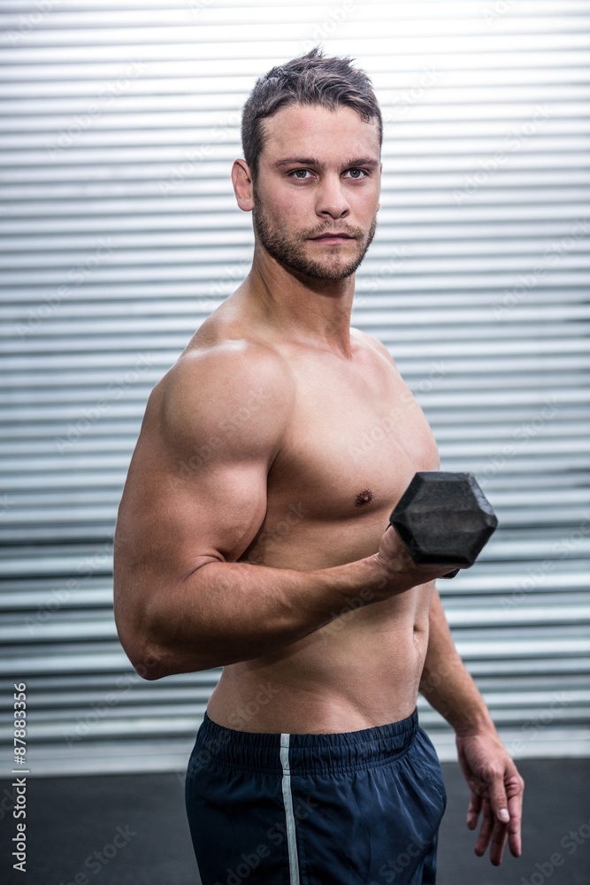 Portrait of muscular man lifting dumbbells Portrait of muscular man lifting dumbbells