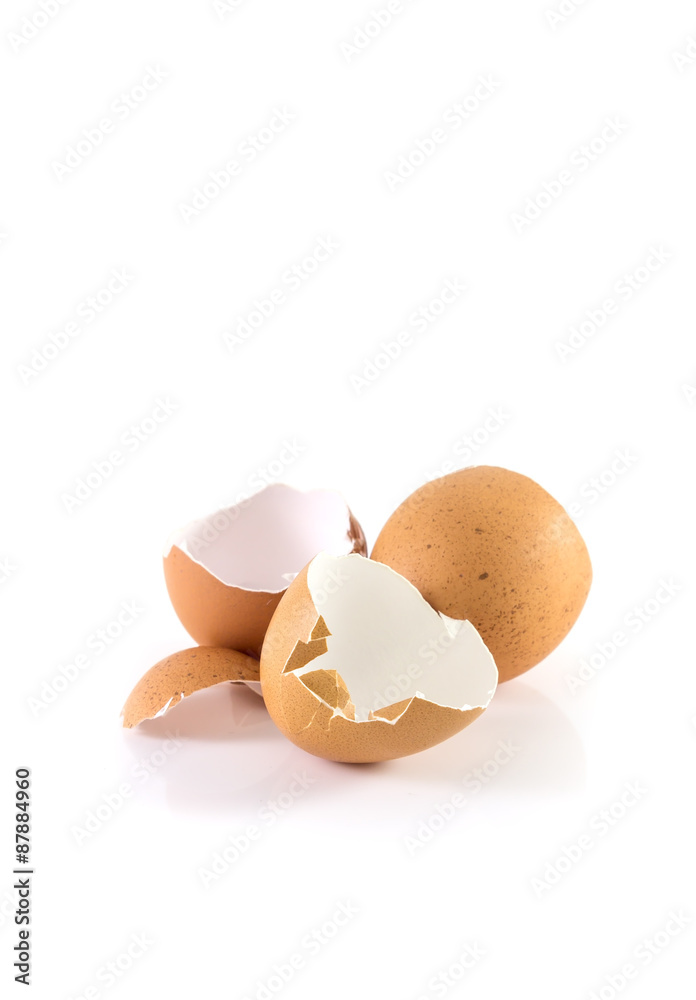 Eggs shell isolated on a white background Eggs shell isolated on a white background