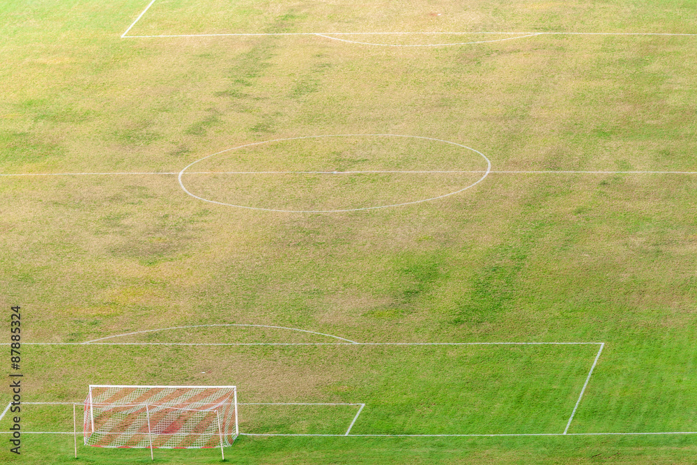 Obraz premium stade de football, pelouse naturelle