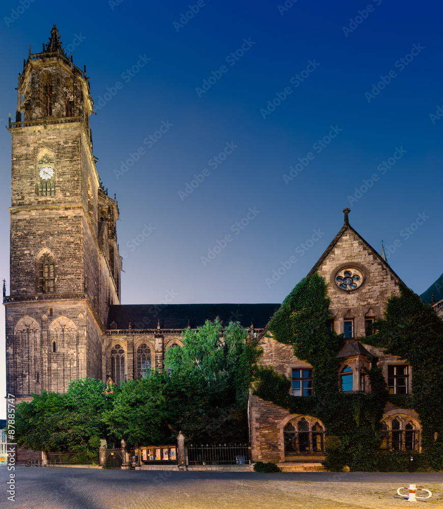 Fototapeta premium Magdeburger dom