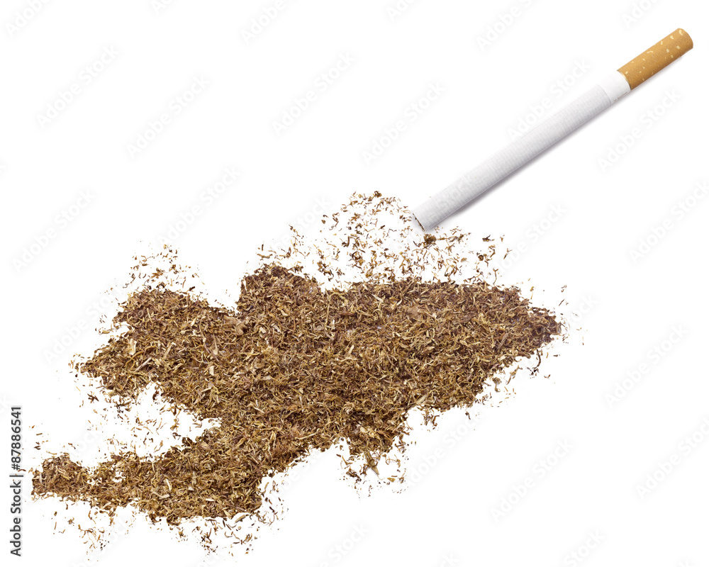 Tobacco shaped as Kyrgyzstan and a cigarette.(series) Tobacco shaped as Kyrgyzstan and a cigarette.(series)