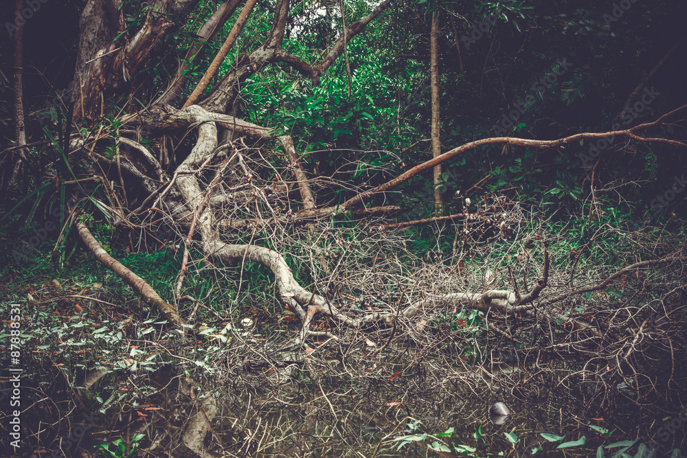 Dry branch in green water.Gothic scene image for Halloween Dry branch in green water.Gothic scene image for Halloween
