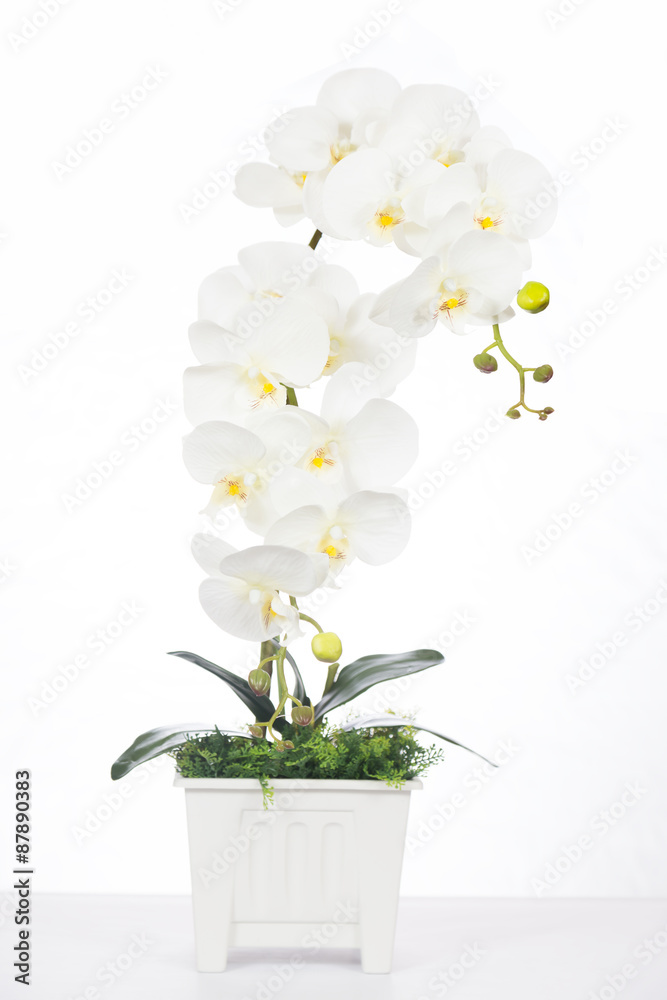 White Orchid Artificial flowers made of fabric in the plastic va