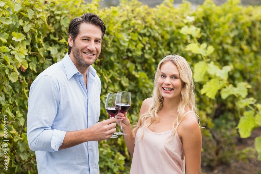 Fototapeta premium Young happy man smiling at camera and holding a glass of wine