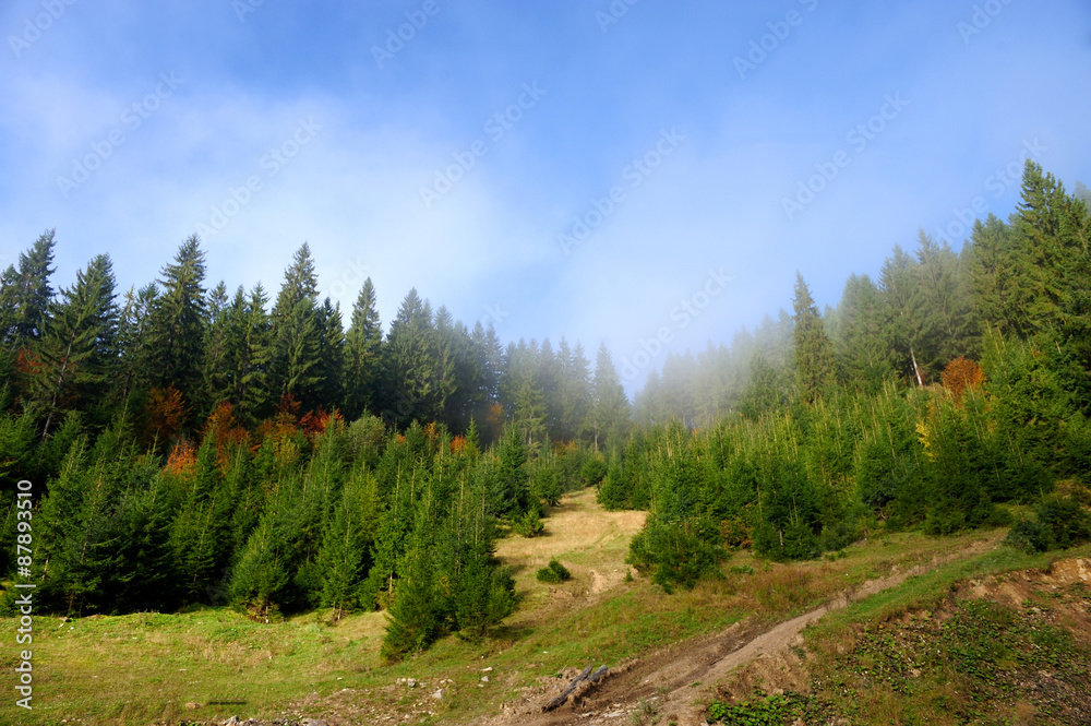 Autumn scene with mountains Autumn scene with mountains