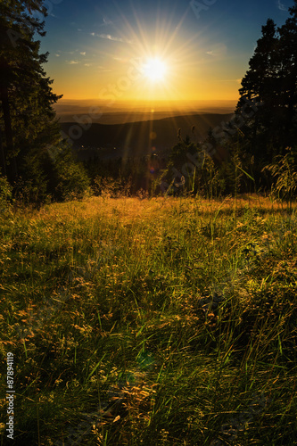 Sonnenuntergang auf der Wiese