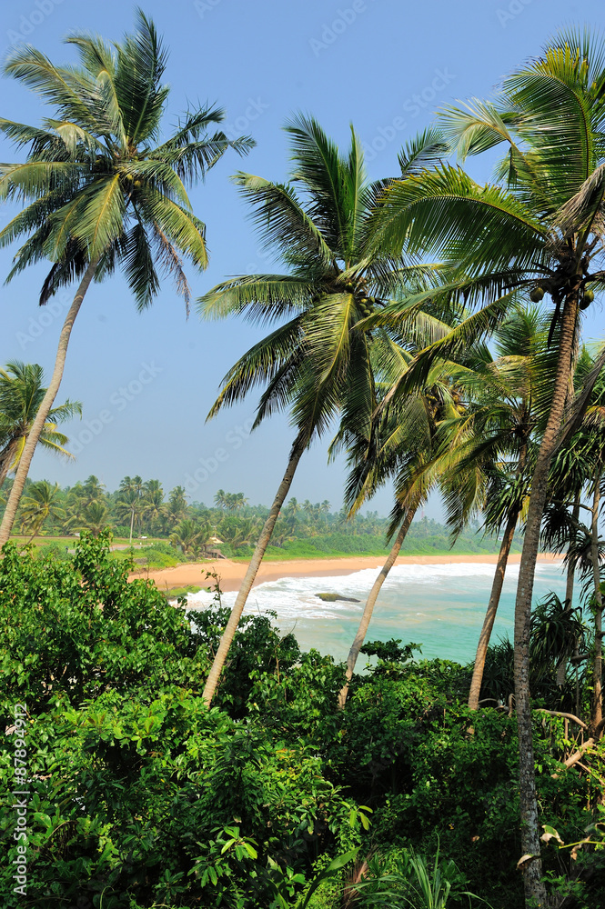 Obraz premium Tropical beach