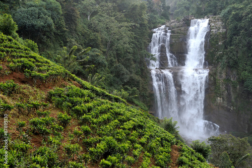 Beautiful waterfall in Sri Lanka