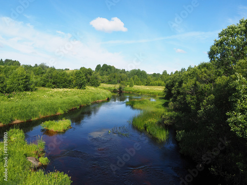 Fototapeta Naklejka Na Ścianę i Meble -  river in summer