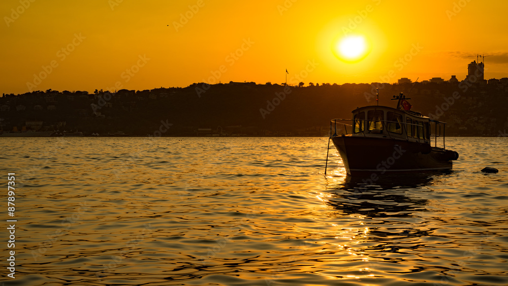 Naklejka premium Bosphorus