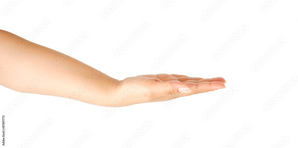 Close-up of beautiful woman's hand isolated on white background. Close-up of beautiful woman's hand isolated on white background.