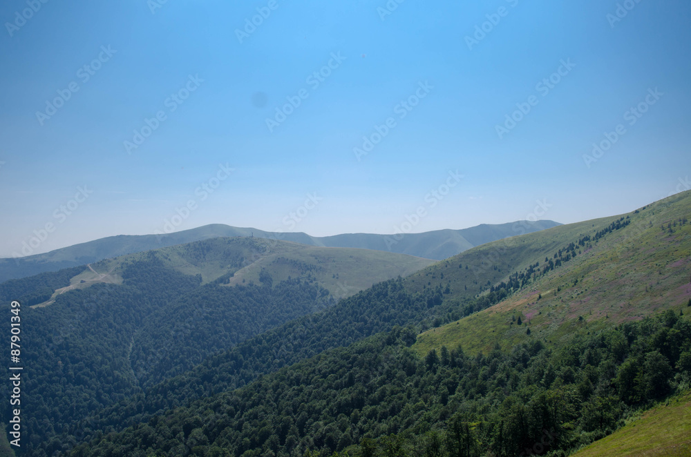 Carpathian mountains summer landscape  with green sunny hills
