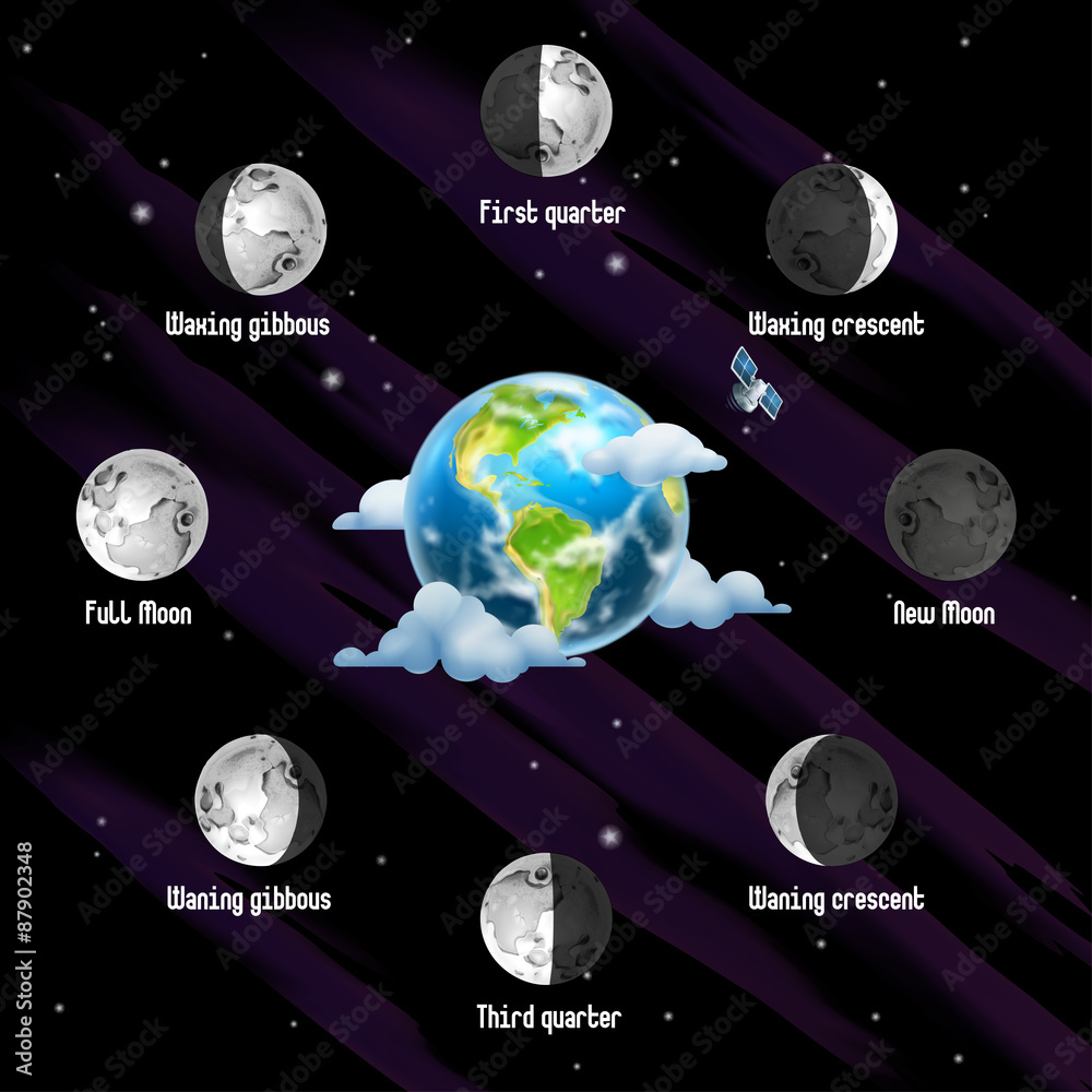 Naklejka premium Phases of Moon, vector background